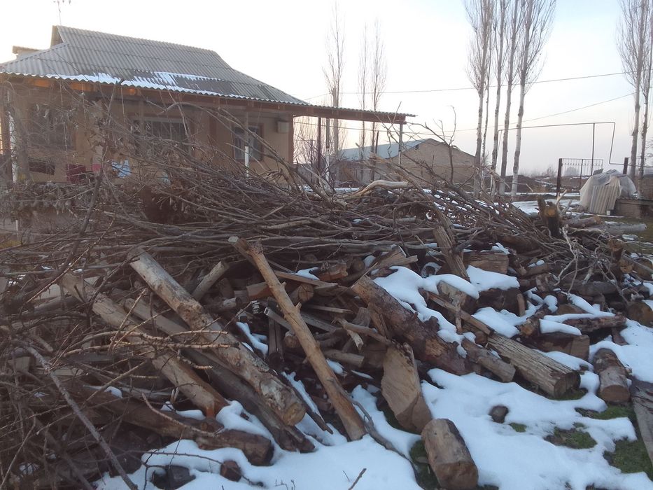 Otin sotiladi, келиштириб бераман