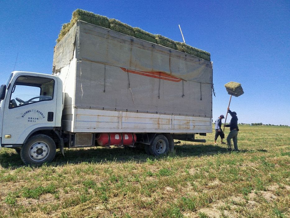 Isuzu 5t sotiladi, Исузи 5т сотилади срочно!