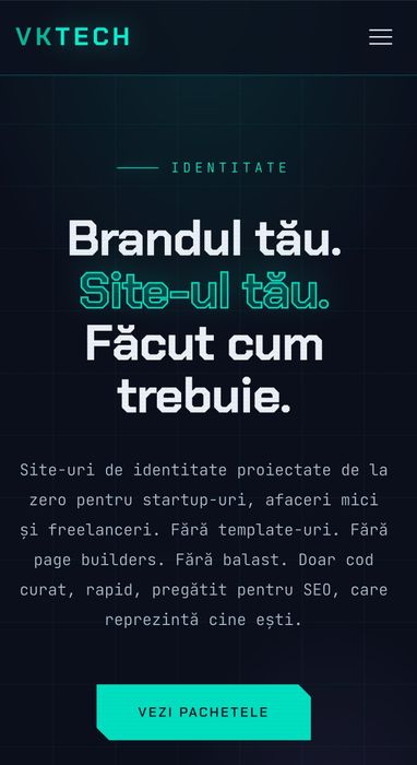 Creare site web profesional, orice domeniu, de la 100 € cu TVA, Consultanta IT