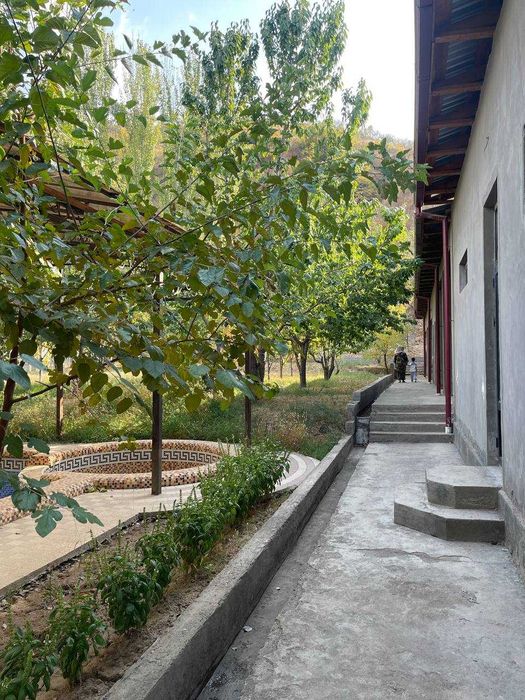 Срочно! Дача в горах Паркента с участком 15 соток!