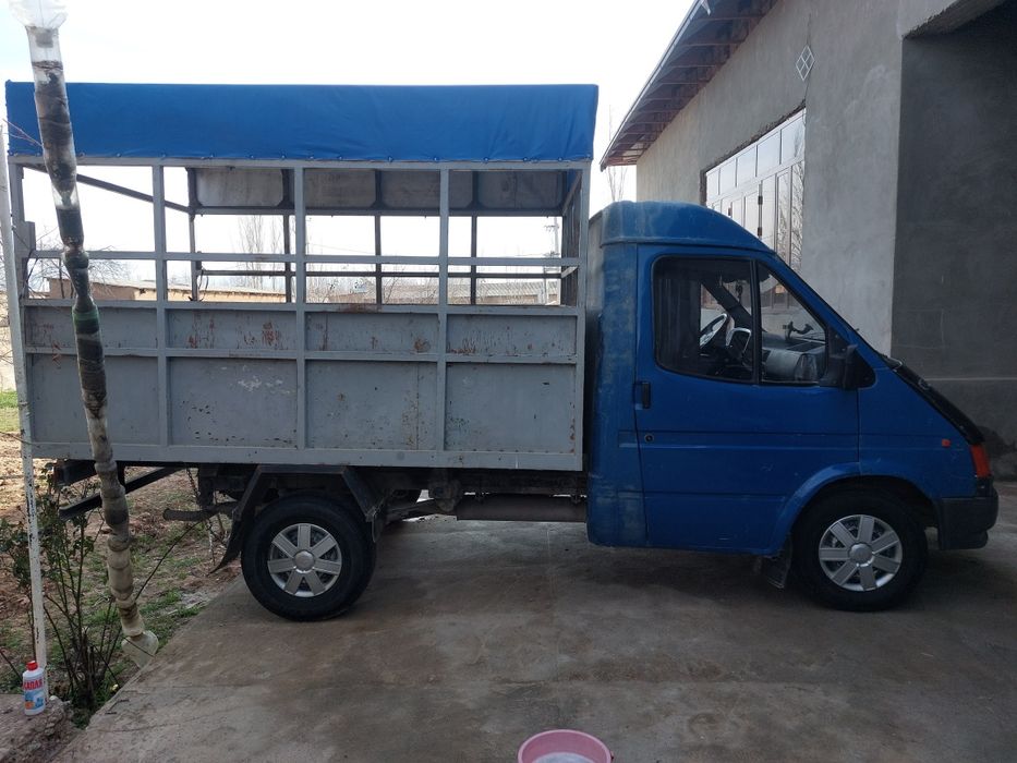 Tentli bort qilingan