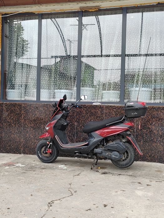 Самурай беннали 180 сс тартысы зор