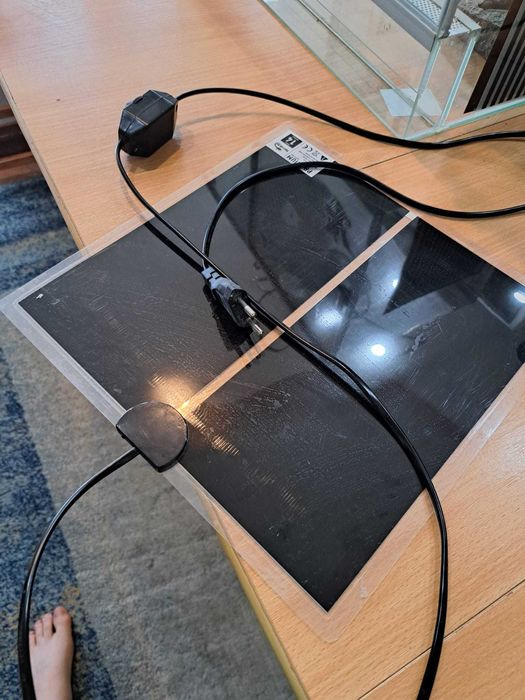 terariu pentru reptile plus accesorii