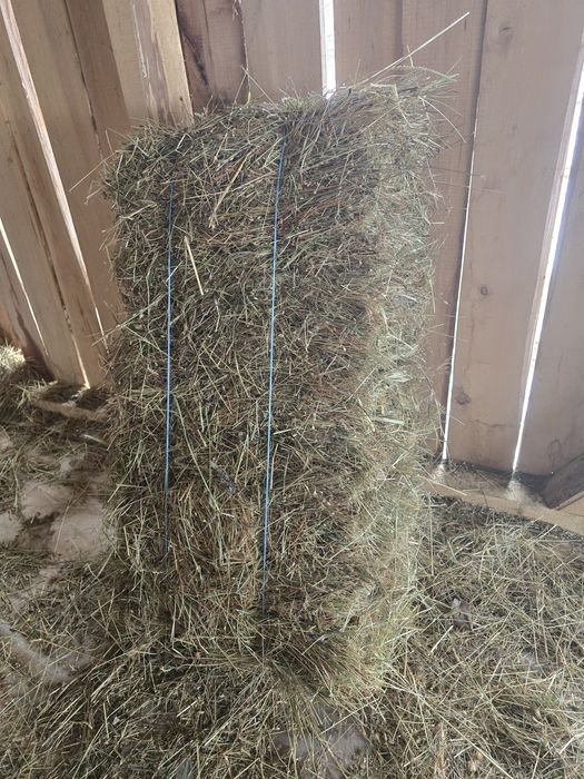 Baloti de fan,nepoluati