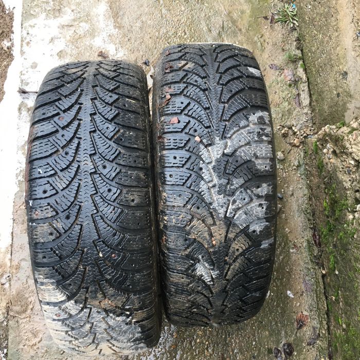 Зимный пакришка