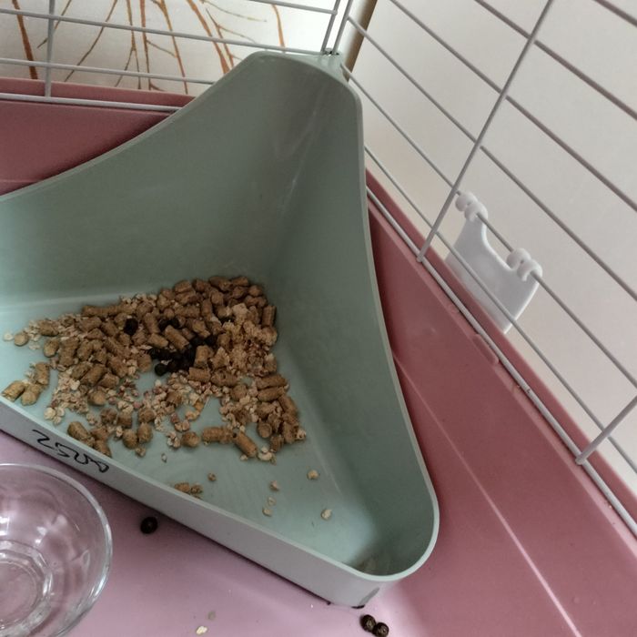 Продам клетку для кролика