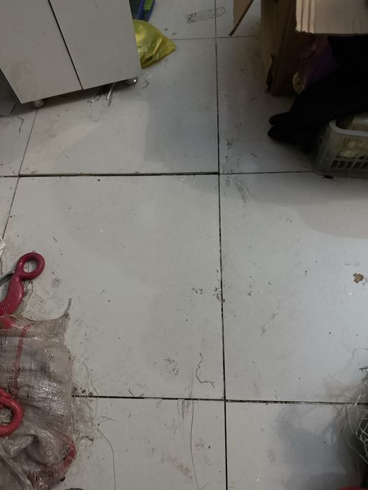 Кафель бесплатно