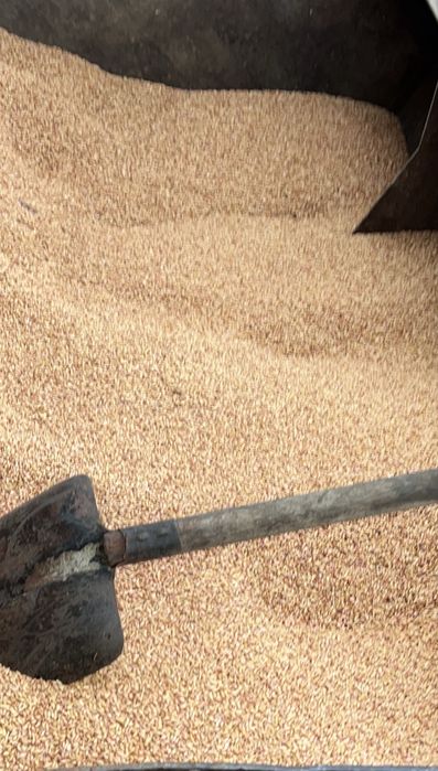 Vand grau 2025 productie 2025