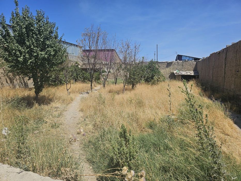 Продается участок 5 суток. Кадастр и все остальные документы имеются.