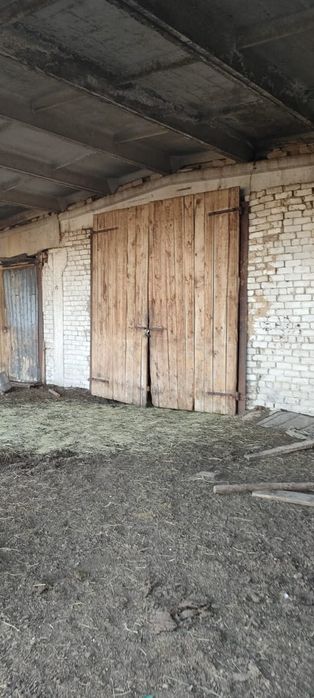 Ферма в Бескарагайском районе