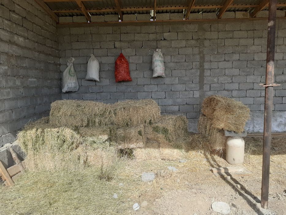 Шөп жоңышқа прес