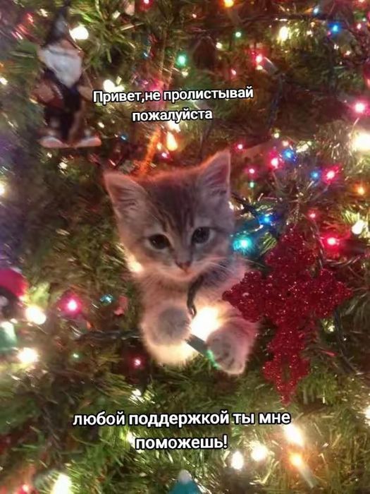 Фигурки игрушки из всех вселенных