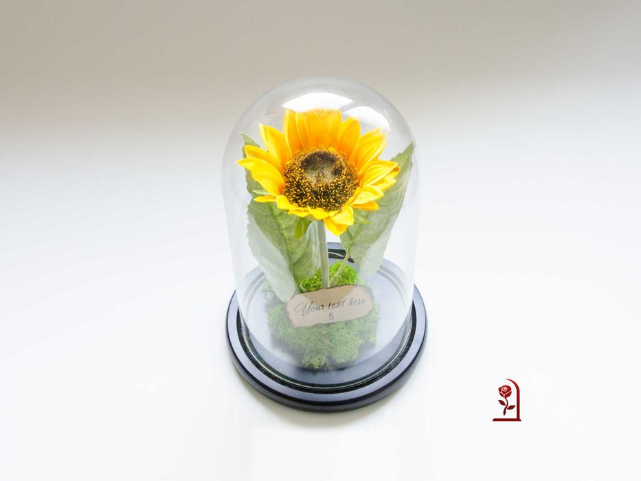 Вечен Слънчоглед в Голяма Стъкленица със Скандинавски Мъх / Ръчно изработен Подарък за Рожден Ден на Жена / Оригинален Подарък за Съпругата
