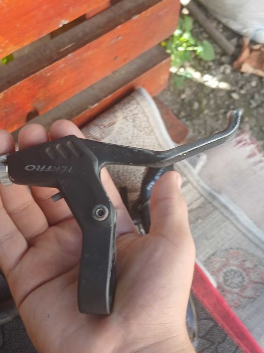 Maneta trekto si saboti