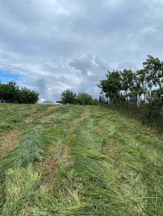 Vand Casa in Ianosda, casa renovata cu baie, gradina