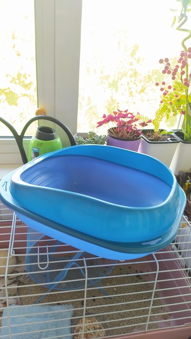 Продаётся лоток.