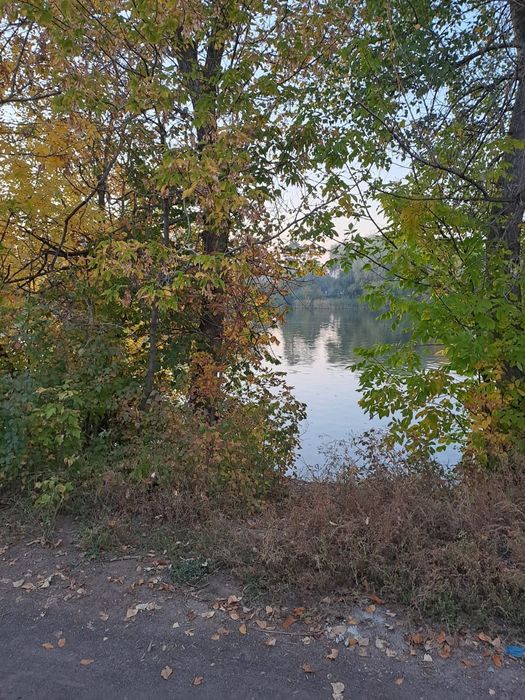 Продам дачу общество строитель