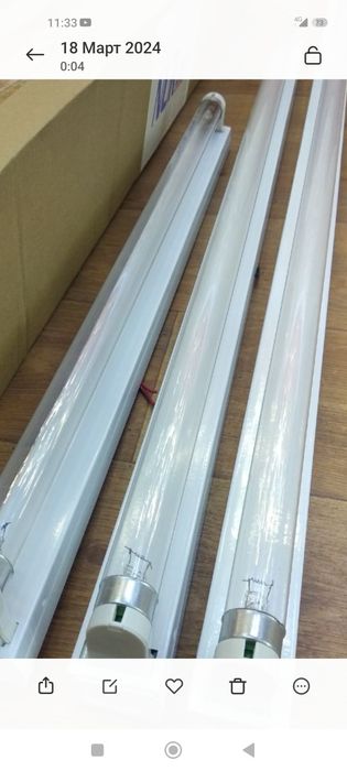 Bakteria lampalar optom va dona