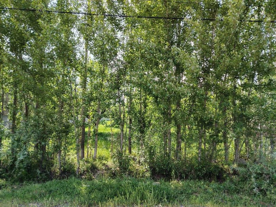 Yer uchaskasi sotiladi