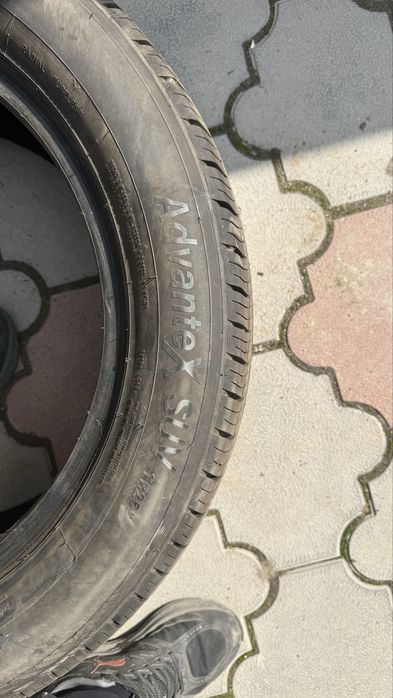 Ризина трианжел лето