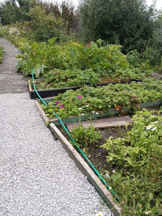 Срочно!!!Продам дачу в новопавловке