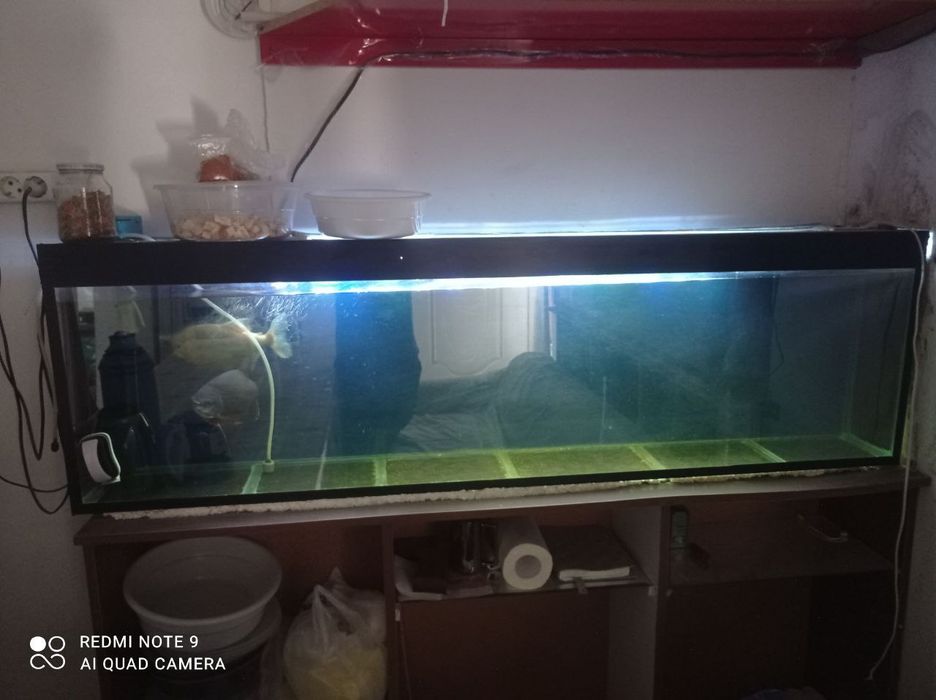 Акварум сотилади