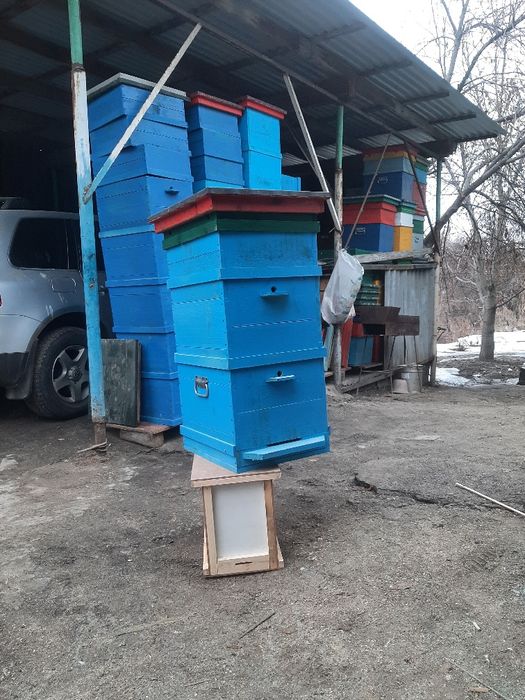 Улья      дадан .