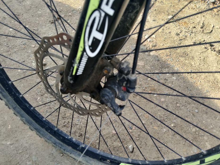 Пирадаю велик бу