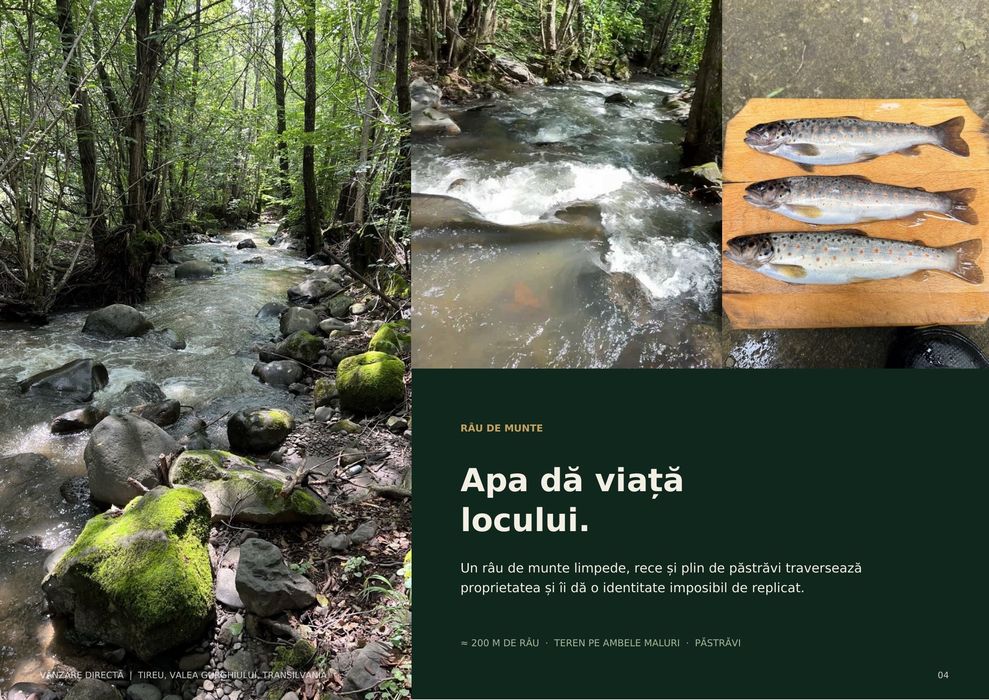 1,76 ha intravilan cu pârâu de munte și 3 cabane – Via Transilvanica, Mureș