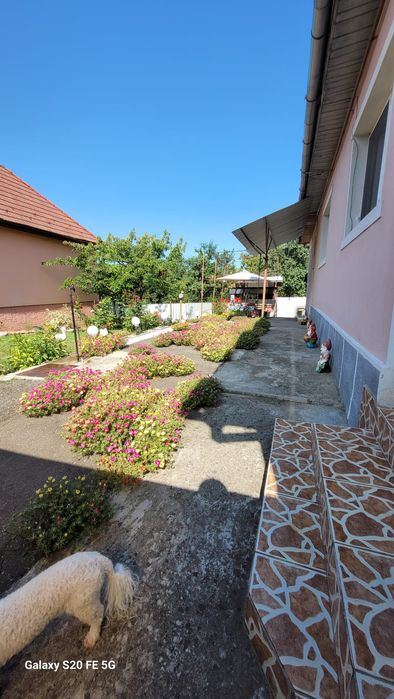 Casa și curte zona centrala