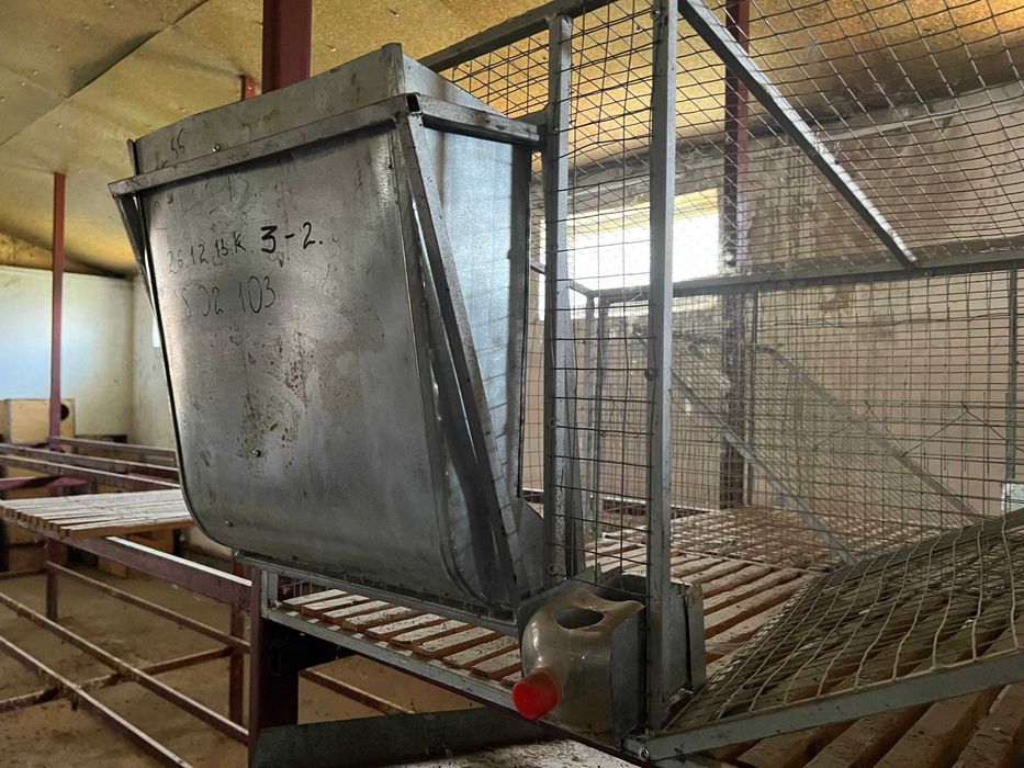 клетки для кроликов