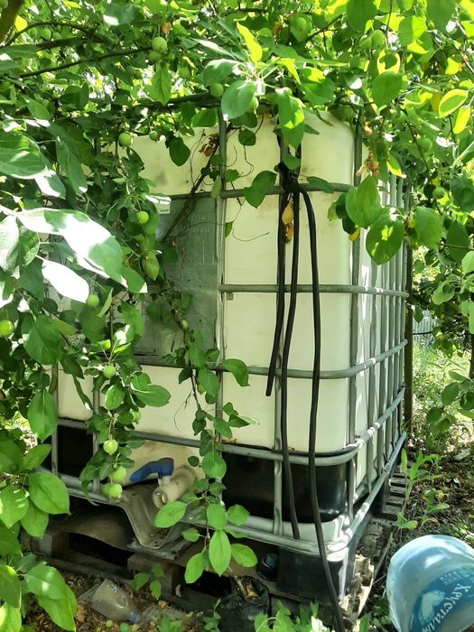 Бочка пластиковая для полива