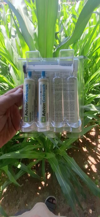 Original:Tarakan dori gel 30g klapa kalamush sichqon dori (gel shprits