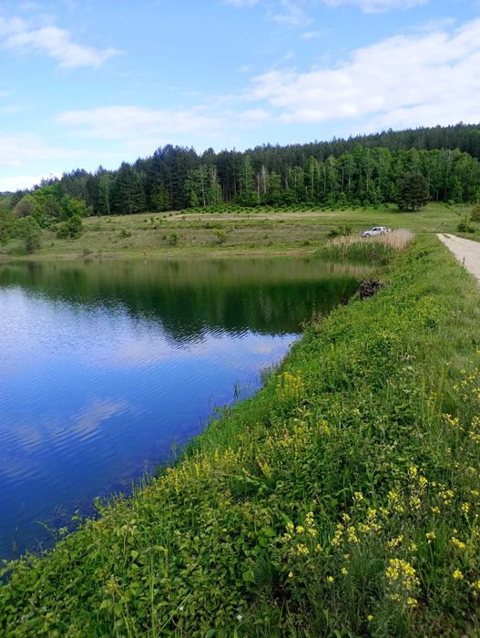 Продава се Къща в с. Невестино, Област Кюстендил - 80 кв.м за 211 €/кв.м - Снимка #1