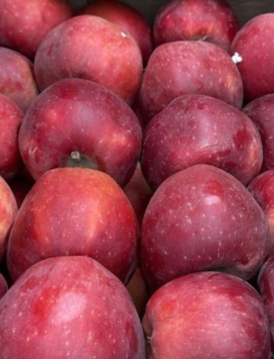 Продам яблоки сорт Американка. Первый и второй сорт