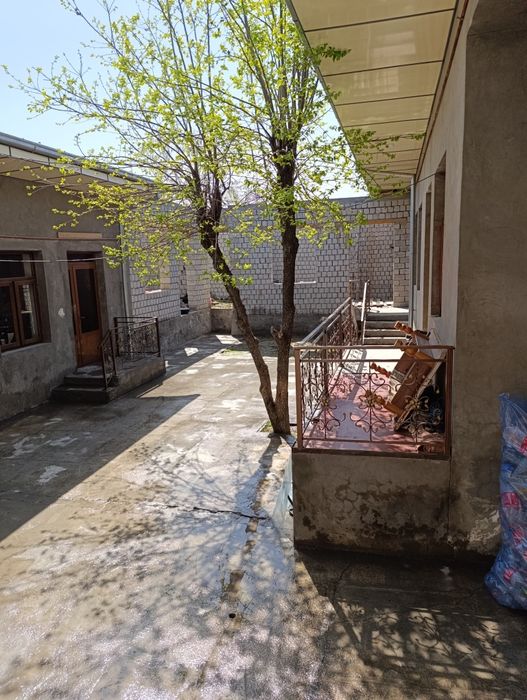 Uy sotiladi ipadrom olim polvonda