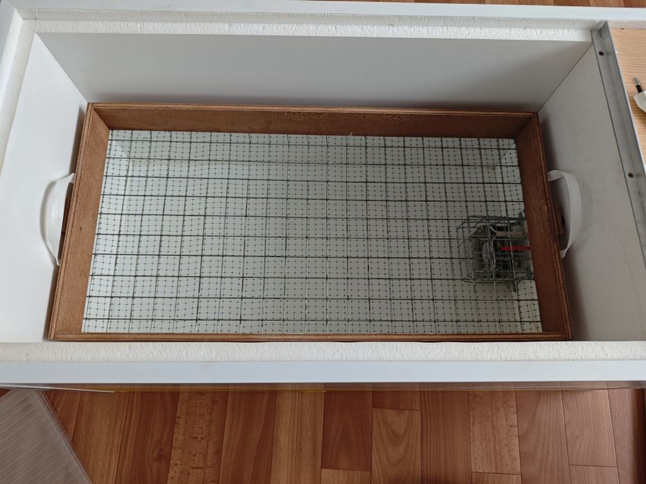 Норма Луппер 72 сатылады.