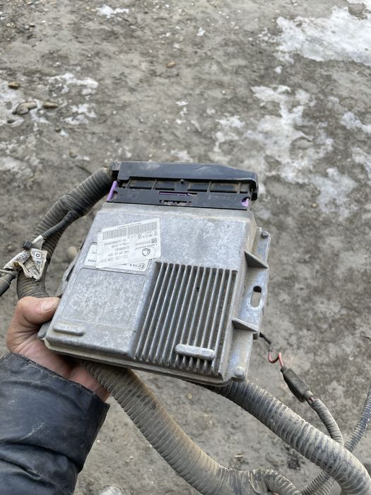 Jentra zavod gaz miyasi