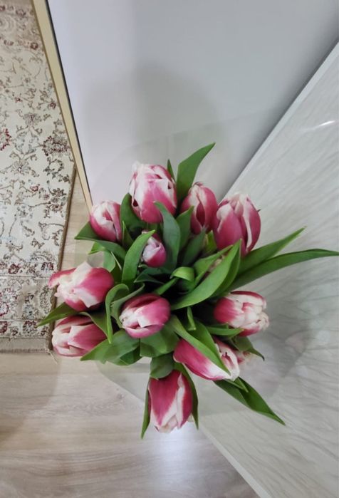 Тюльпаны красивые