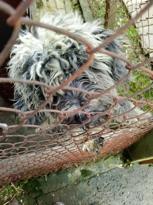 Продавам лагото на 8 месеца