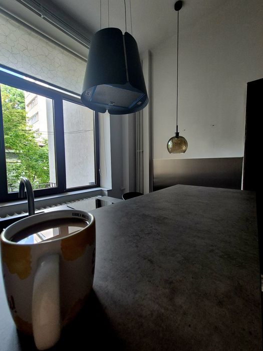 2 camere vila Copou IASI