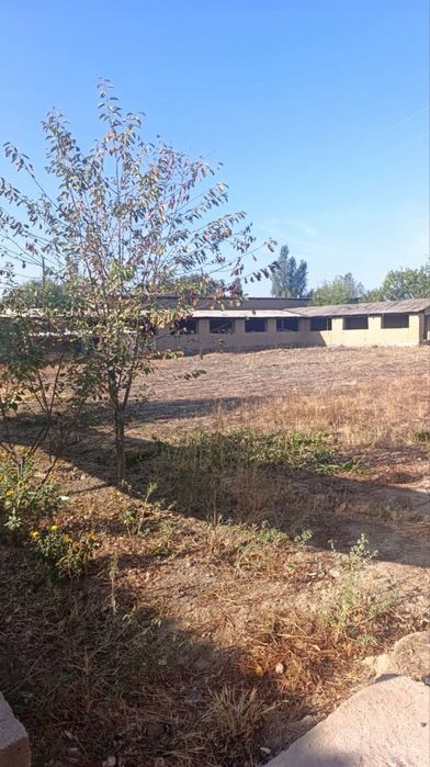 Ortasaroyda 18 sotixli fermaga moljalangan uchastka