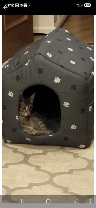 Продам домик для животных