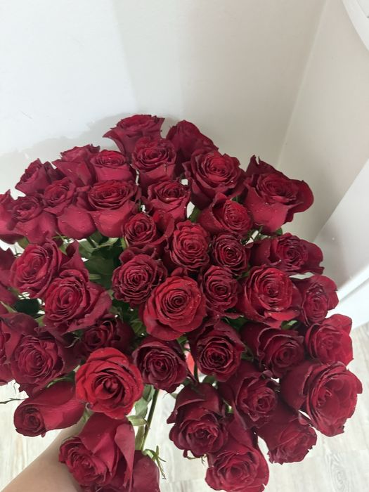 45 роза  срочно продам