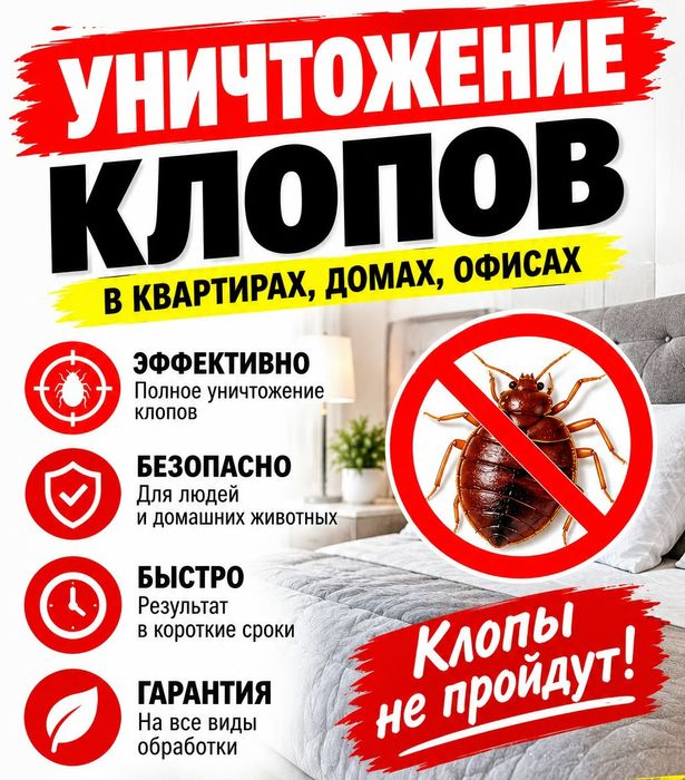 Дезинфекцию клопов тараканы