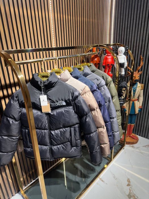 Geaca the north face
