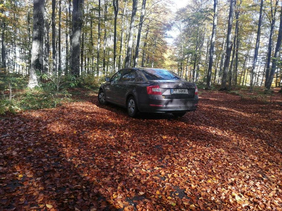 Vand Skoda Octavia 1.6 TDI , 2013, 220000 KM reali