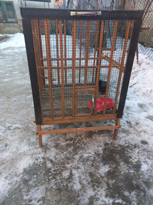 Voliera pt păsărele