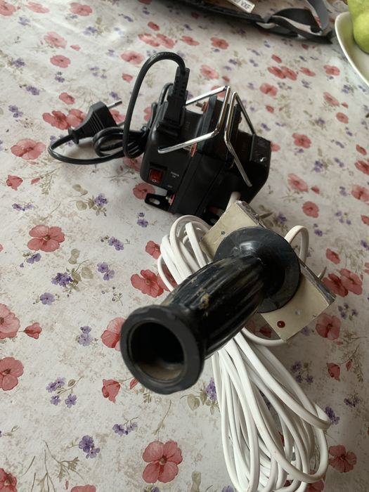 Asomator porci animale