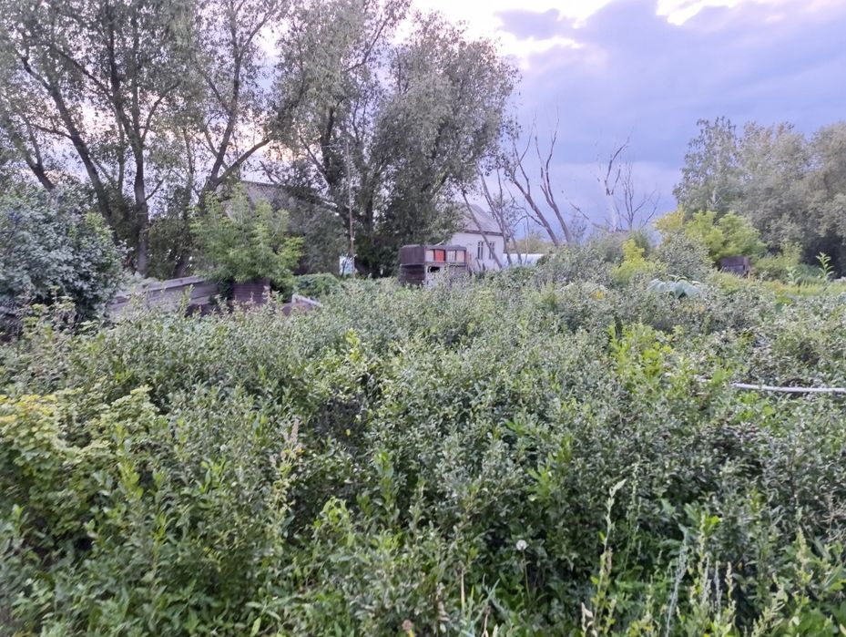 Продаётся дача на федоровке